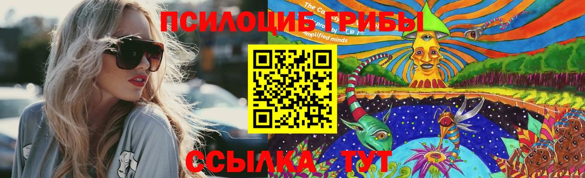 Галлюциногенные грибы Psilocybine cubensis  Вход с VPN  Кудымкар 